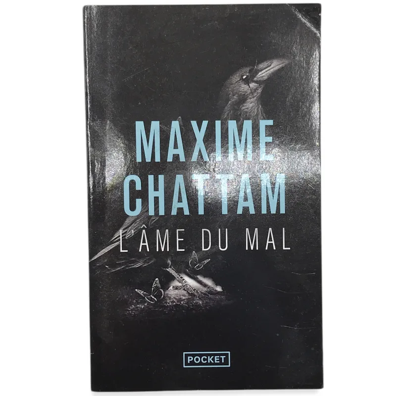 d09287b9b79e27e217cefe2d77bb75df_maxime-chattam-l-ame-du-mal